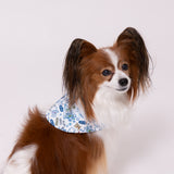 TOY STORYクールバンダナ ペット用品