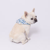 TOY STORYクールバンダナ ペット用品