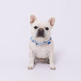 TOY STORYクールバンダナ ペット用品