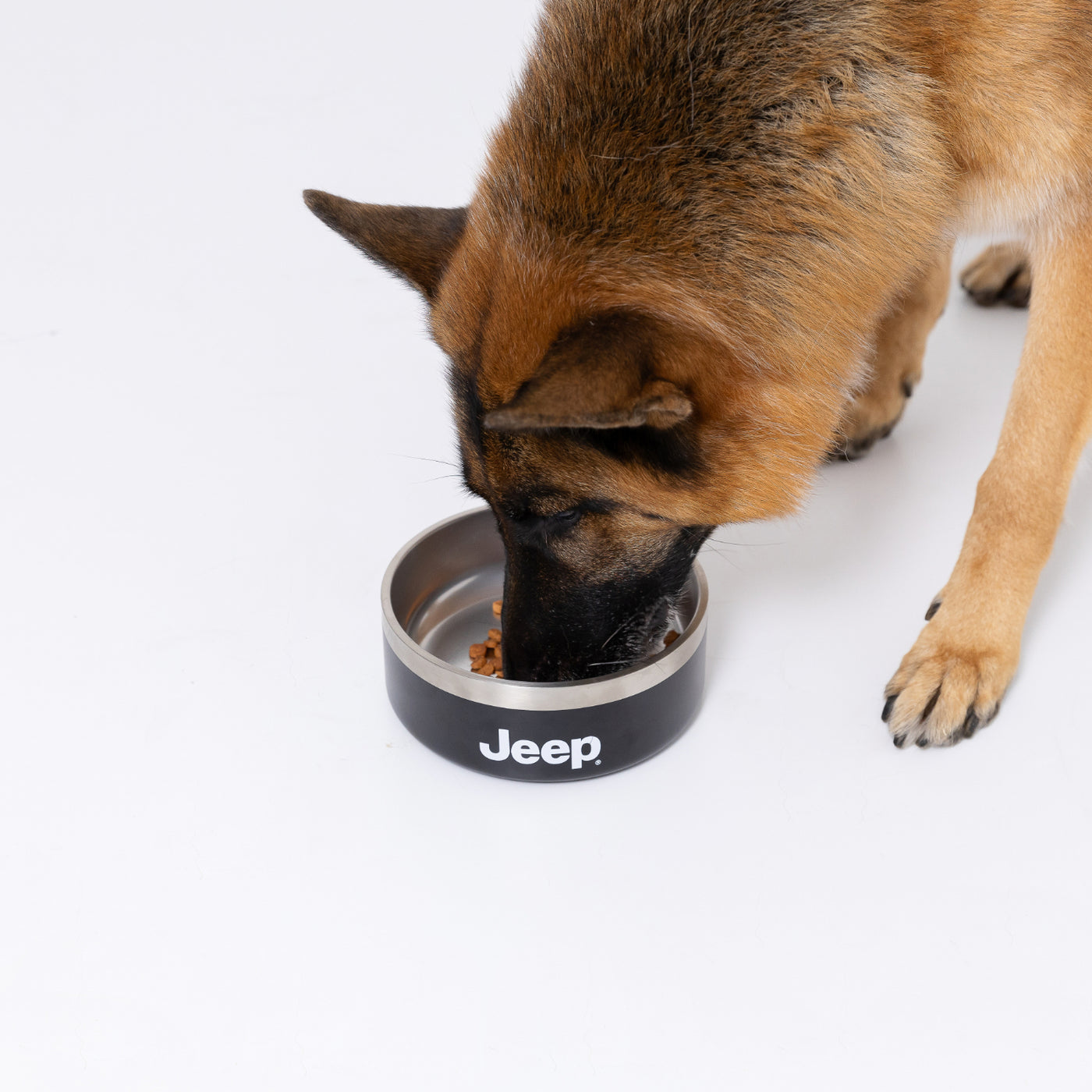 JeepⓇステンレスフードボウル 32oz ペット用品 ペット食器 犬服