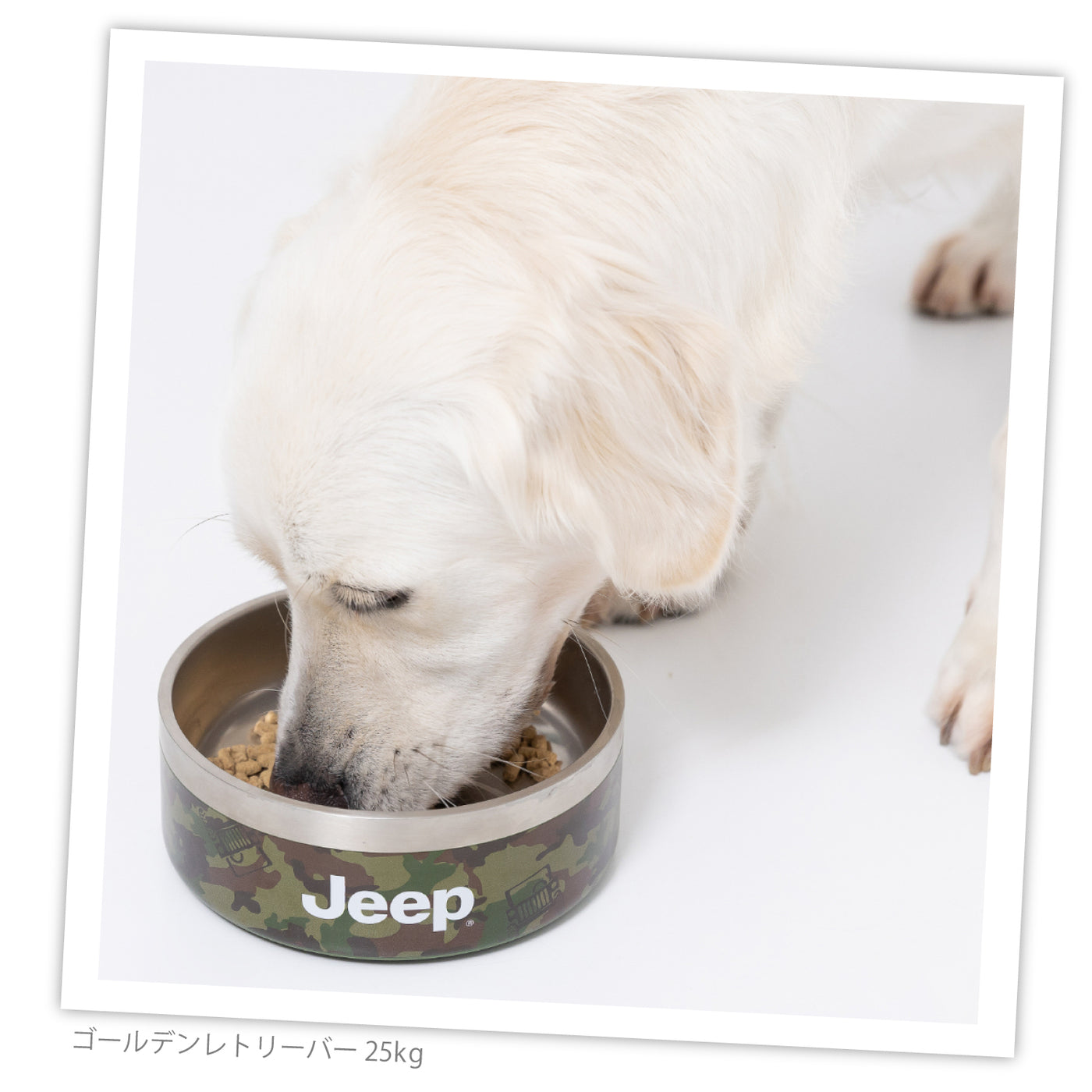 JeepⓇステンレスフードボウル 32oz ペット用品 ペット食器 犬服