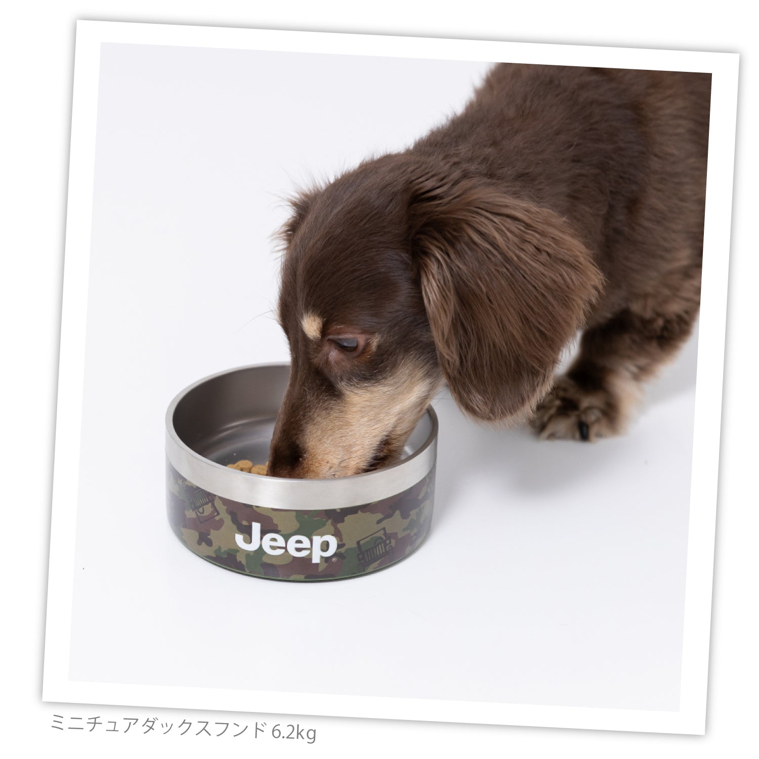 JeepⓇステンレスフードボウル 16oz ペット用品 ペット食器 犬服
