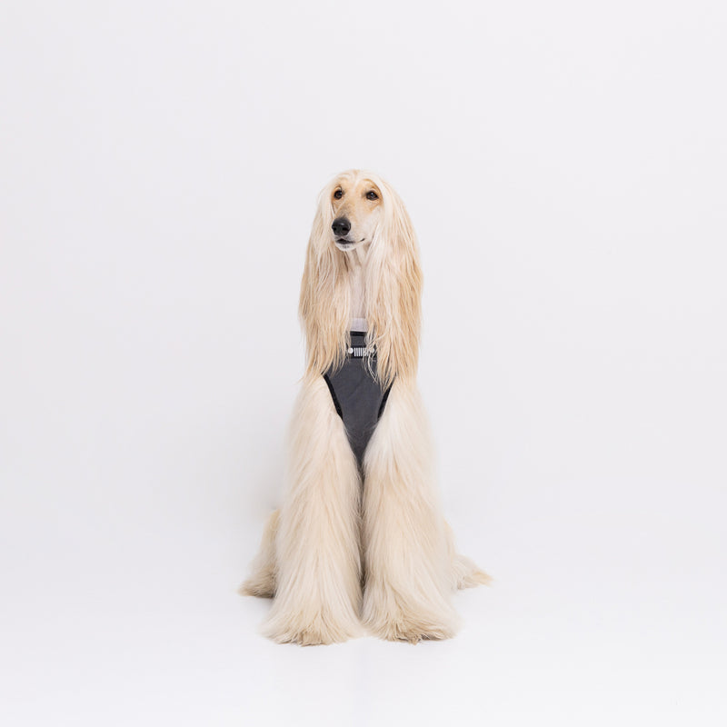 Jeep フリースジップベスト　中大型犬 ペット用品