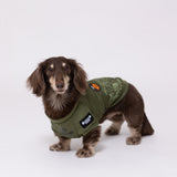 Jeep 背開きジャケット リードフック付き ペット用品