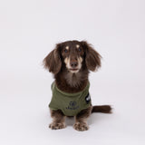 Jeep 背開きジャケット リードフック付き ペット用品