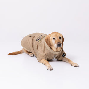 Jeep 背開きジャケット 中・大型犬 ペット用品