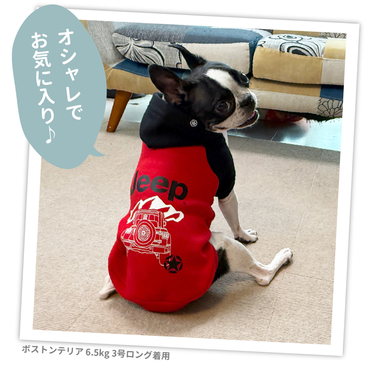 JEEPダブルフェイストレーナーC ペット用品 犬服 ペットウェア ペット