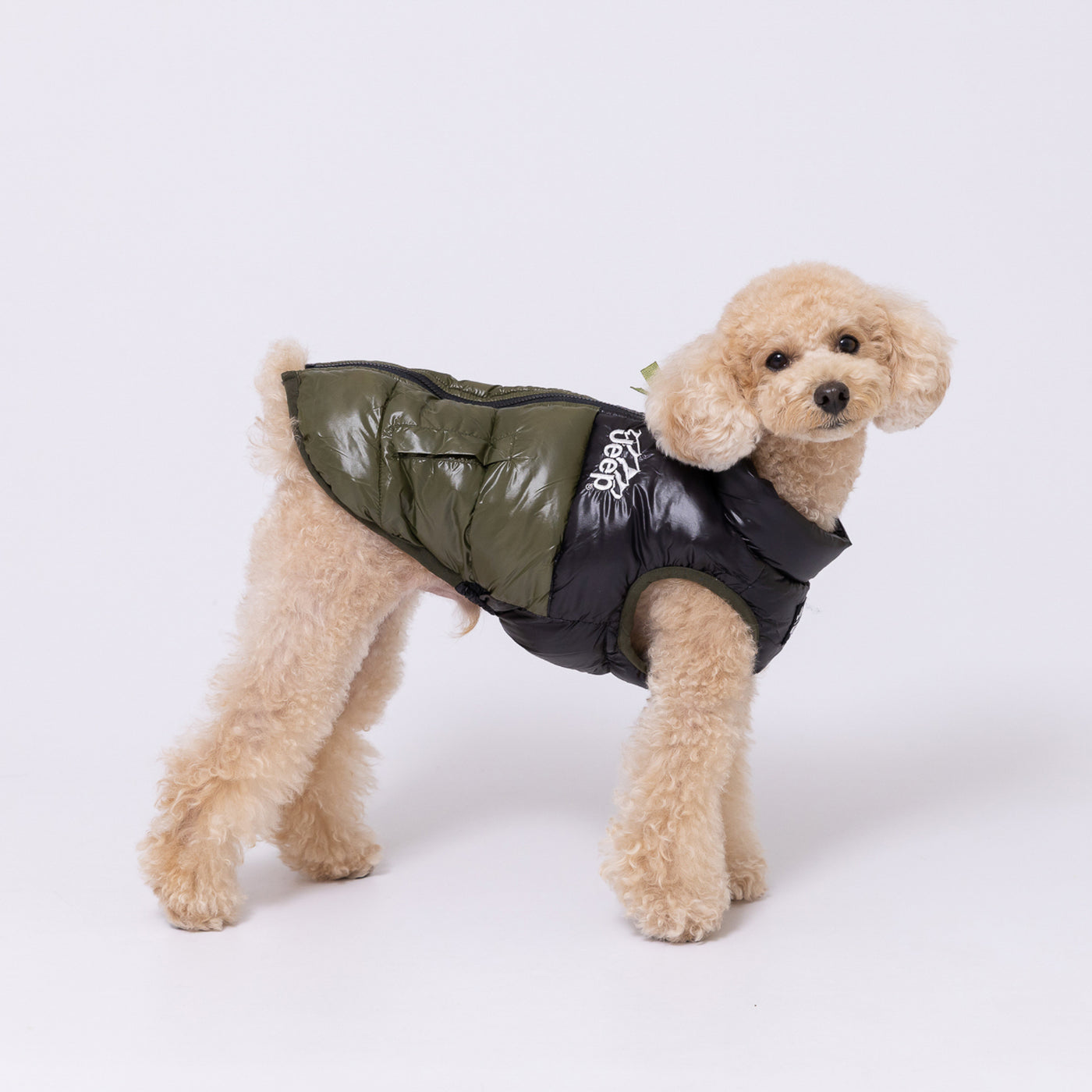 JEEPダウンベスト ペット用品 犬服 ペットウェア ペット用品｜MOFF 