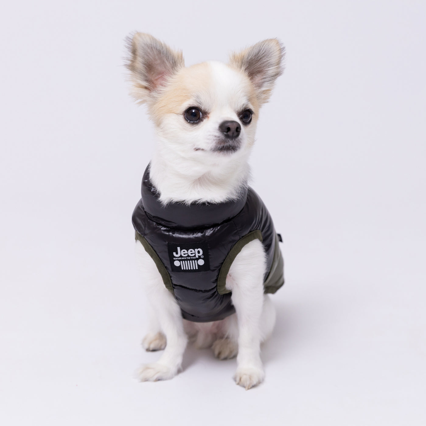 JEEPダウンベスト ペット用品 犬服 ペットウェア ペット用品｜MOFF 