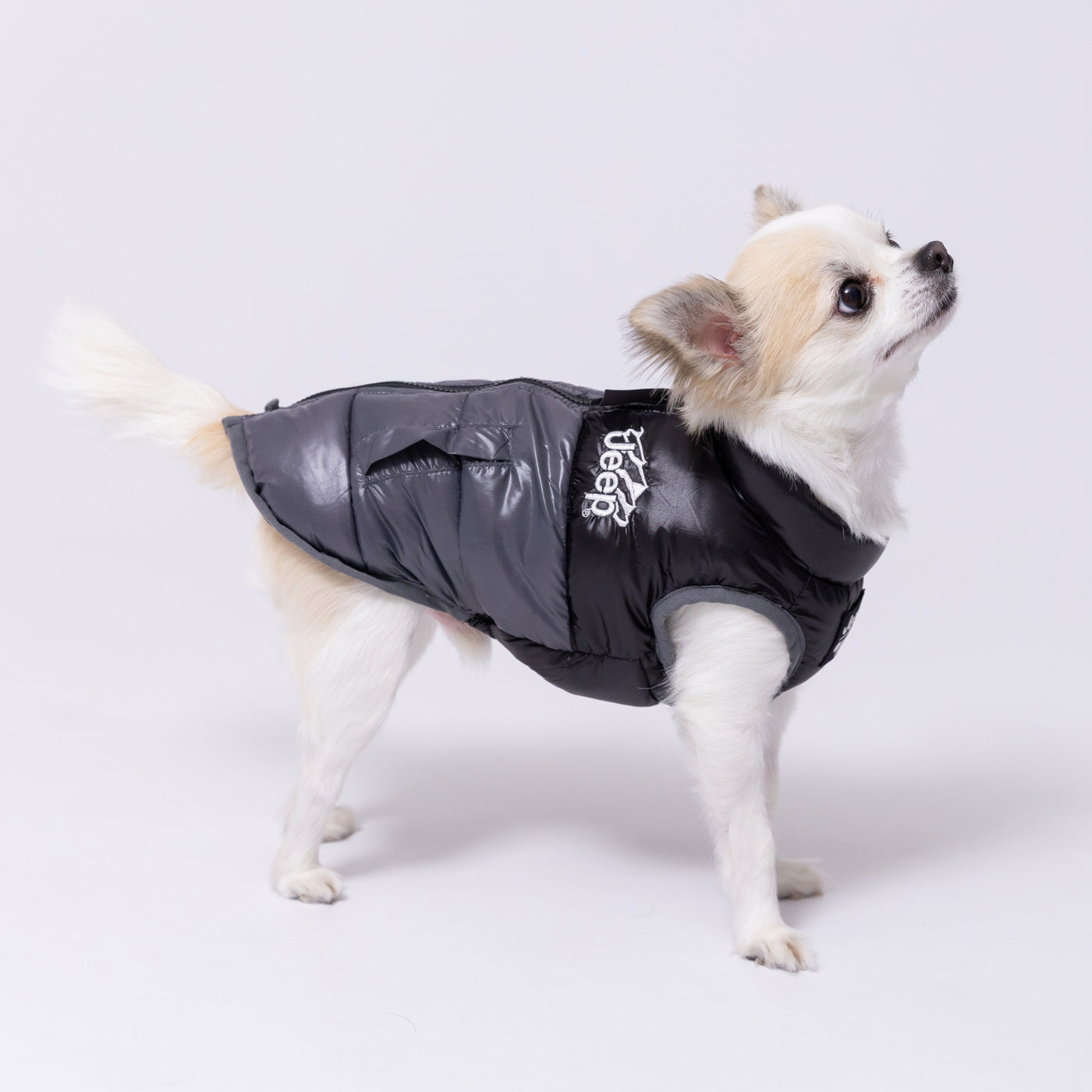 JEEPダウンベスト ペット用品 犬服 ペットウェア ペット用品｜MOFF 