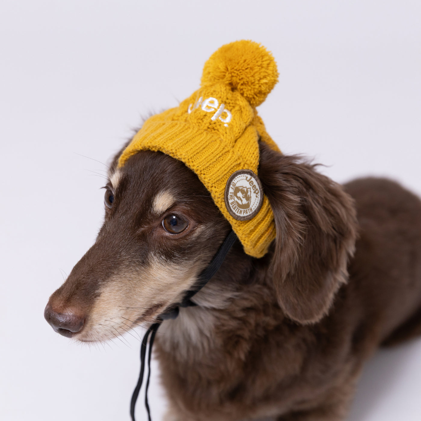JEEPニット帽 S ペット用品 犬服 ペットウェア ペット用品｜MOFF