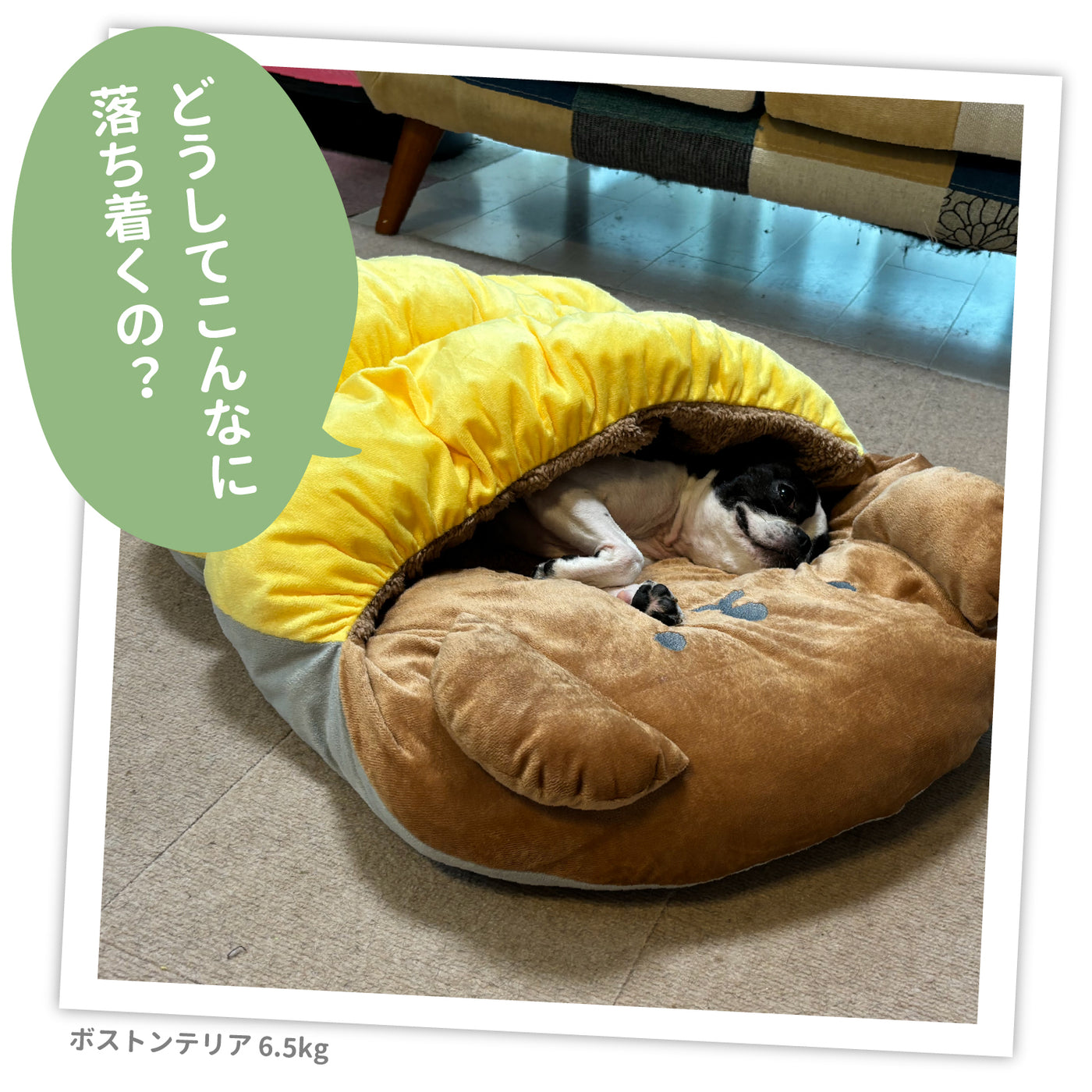 miffy ボリスもぐりんベッド ペット用品 ペットベッド 犬服