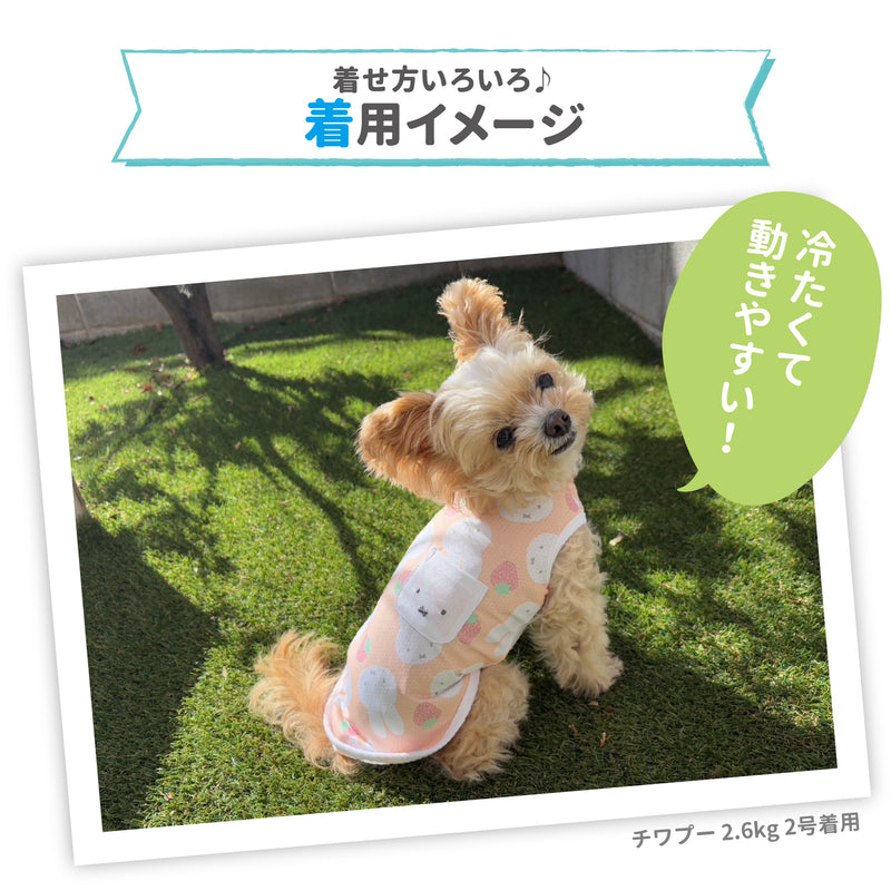 ミッフィークールタンク りんご ペット用品 接触冷感 COOL