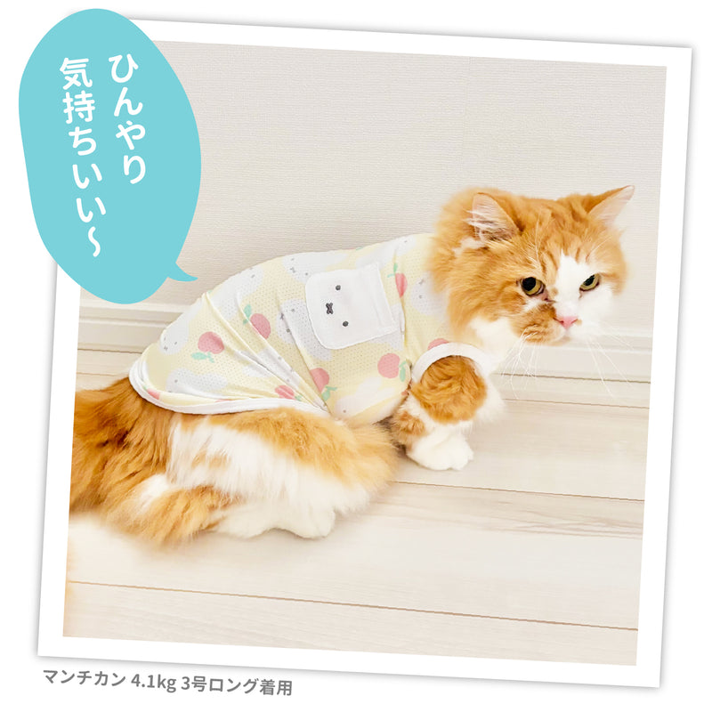 ミッフィークールタンク りんご ペット用品 接触冷感 COOL
