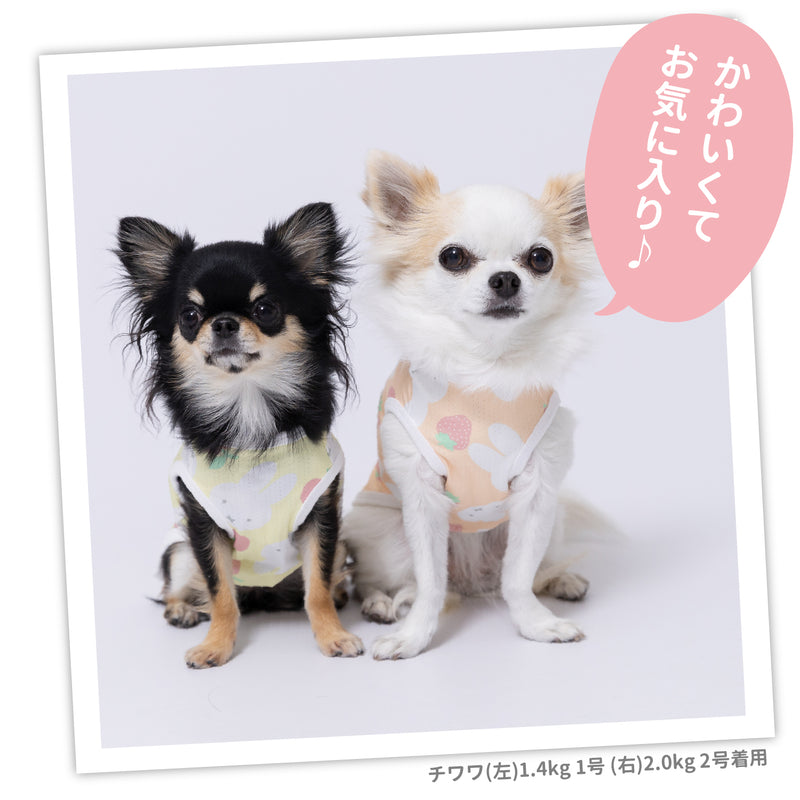 ミッフィークールタンク りんご ペット用品 接触冷感 COOL