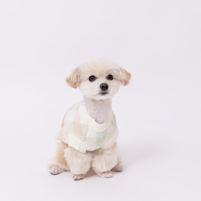 【先行予約 20％OFF】 ボリスチェックシェニールニット ペット用品
