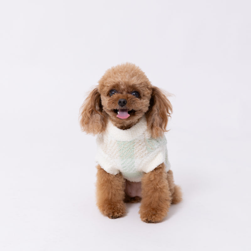 【先行予約 20％OFF】 ボリスチェックシェニールニット ペット用品