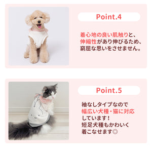 ミッフィー襟付きマイヤーウエア ペット用品