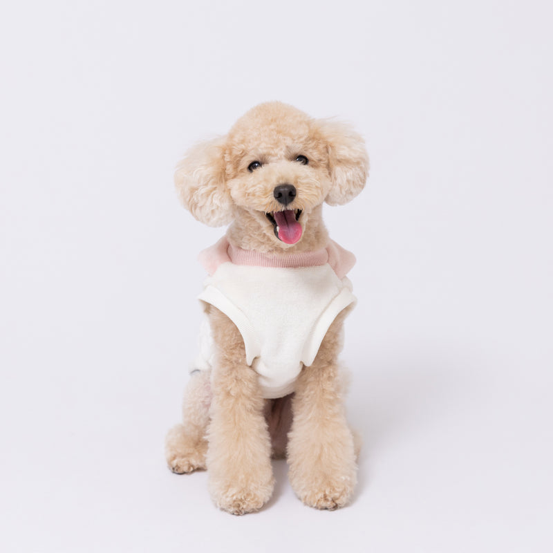【先行予約 20％OFF】 ミッフィー襟付きマイヤーウエア ペット用品