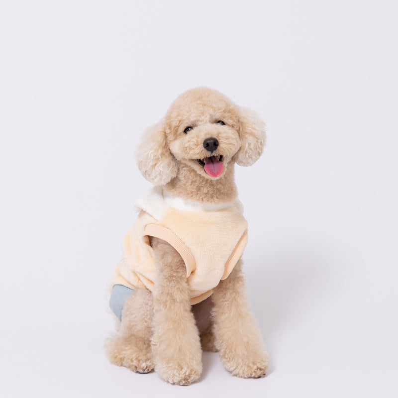 【先行予約 20％OFF】 ボリス襟付きマイヤーウエア ペット用品