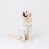 【先行予約 20％OFF】 ミッフィーチェックシェニールニット中・大型犬 ペット用品