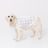【先行予約 20％OFF】 ミッフィーチェックシェニールニット中・大型犬 ペット用品