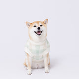 【先行予約 20％OFF】 ボリスチェックシェニールニット中・大型犬 ペット用品