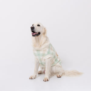 ボリスチェックシェニールニット中・大型犬 ペット用品
