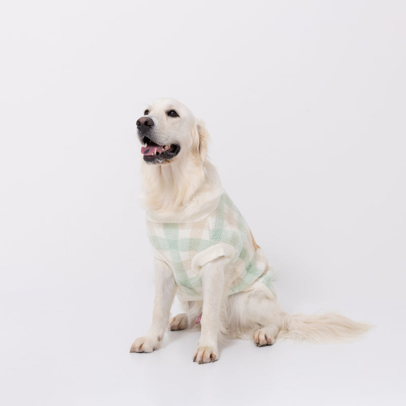 【先行予約 20％OFF】 ボリスチェックシェニールニット中・大型犬 ペット用品