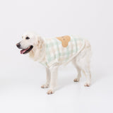 【先行予約 20％OFF】 ボリスチェックシェニールニット中・大型犬 ペット用品