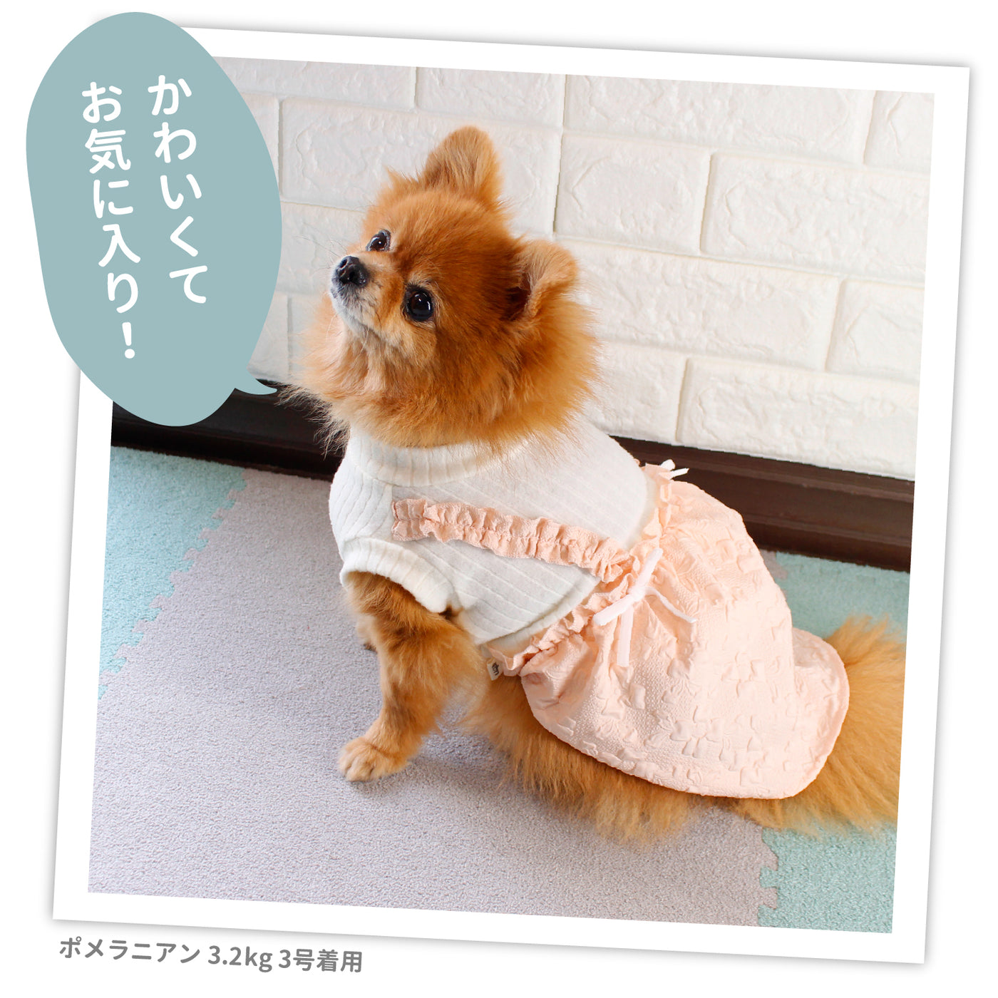 MOFFふくれジャガードドッキングワンピ ペット用品 ペットウェア 犬服