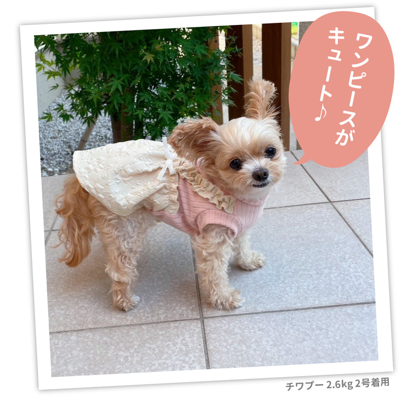 【3点購入で50％OFF】MOFFふくれジャガードドッキングワンピ ペット用品 ペットウェア 犬服