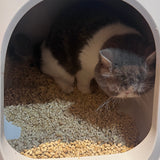 コスパのいい_おからのにゃんこ砂 14L×３個(42L) 猫砂 ペット用品