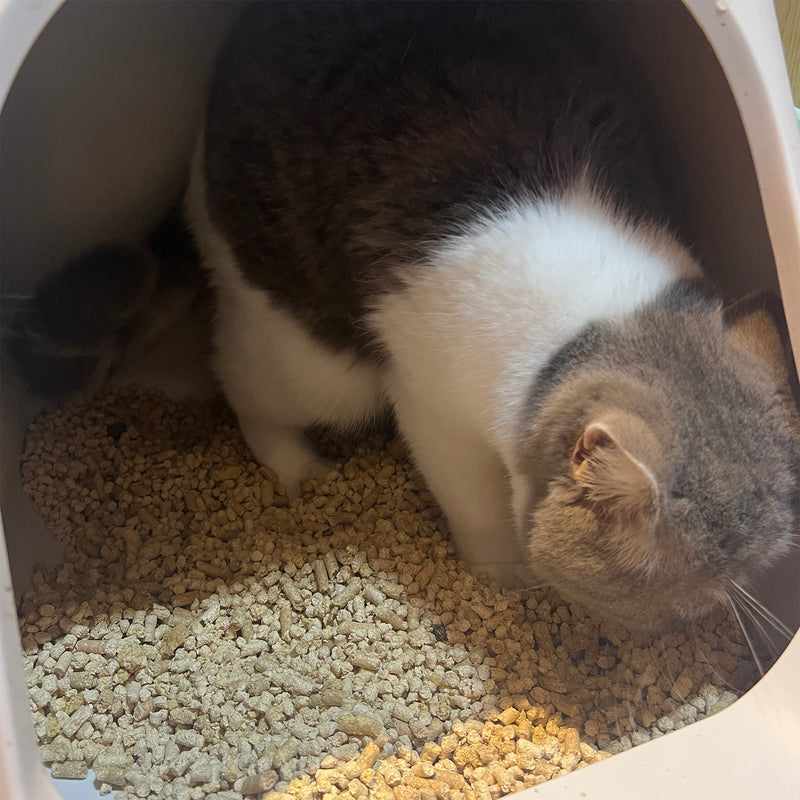 コスパのいい_おからのにゃんこ砂 14L×３個(42L) 猫砂 ペット用品