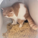 コスパのいい_おからのにゃんこ砂 14L×３個(42L) 猫砂 ペット用品