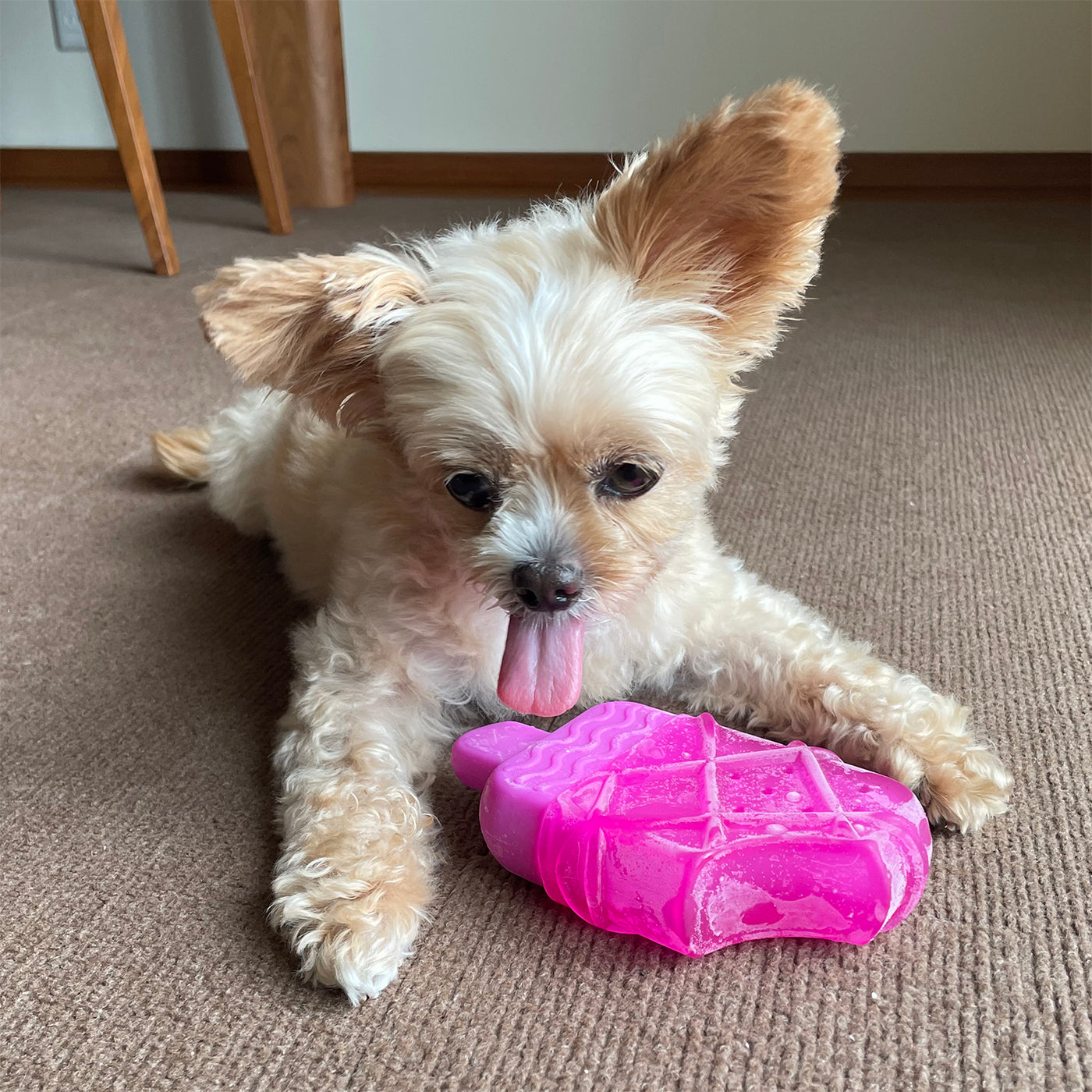 ひんやりトイ アイスキャンディー グレープ 犬服 ペットウェア ペット 