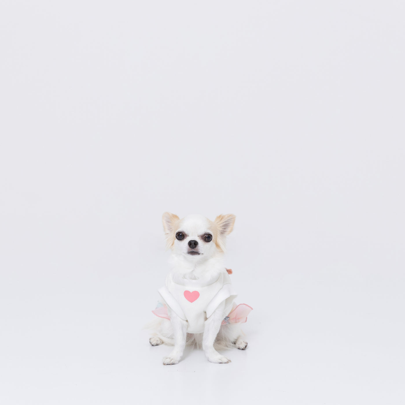 pipiフリルトレーナー ペット用品 ペットウェア 犬服 犬服 ペット