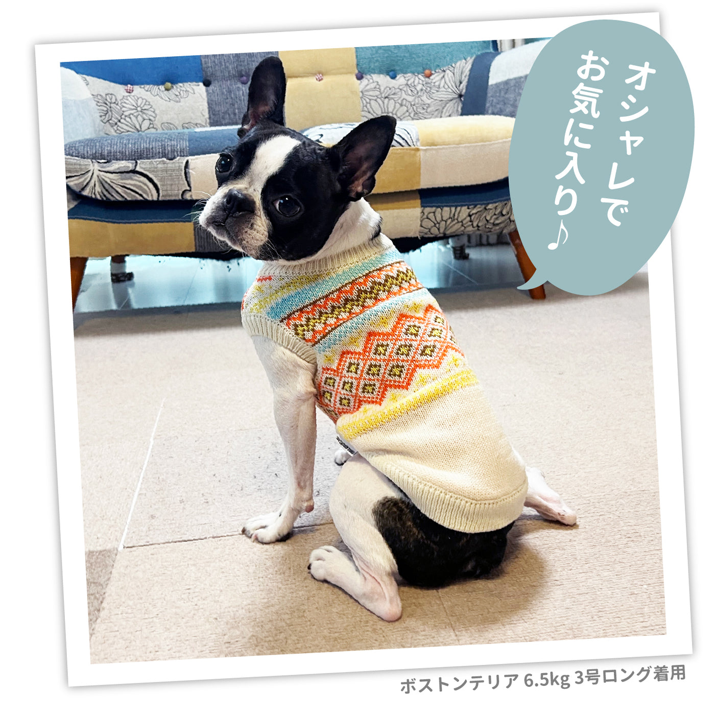 pet a porte ペットアポルテ　ニット　ドレス pet a porte ペットアポルテ ニットドレス SS | 犬服
