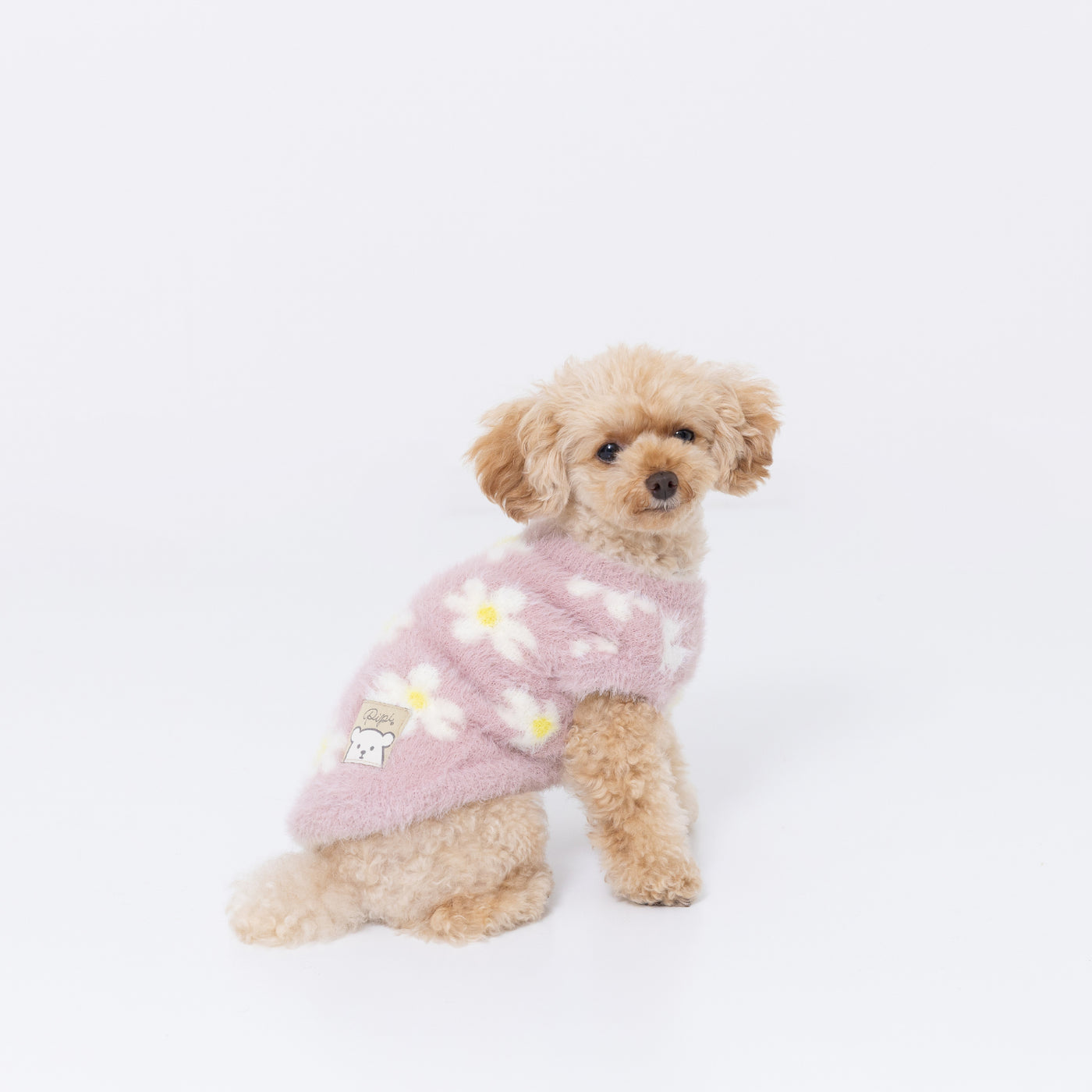 犬服・アクセサリー ppcloset37 s74 PP242-022-025_6_1400x.jpg?v=