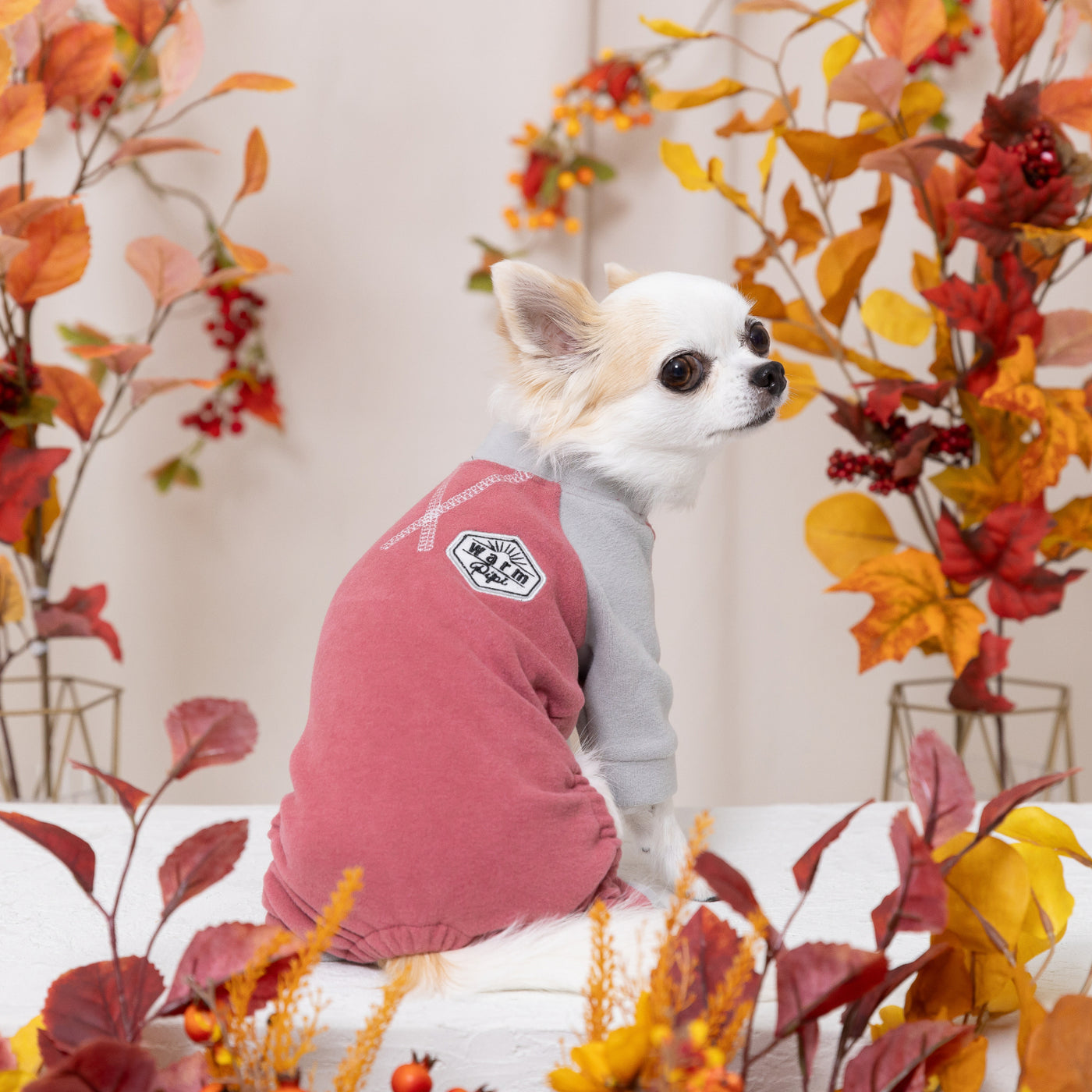 pipiポカポカロンパース ペット用品 犬服 ペットウェア ペット用品