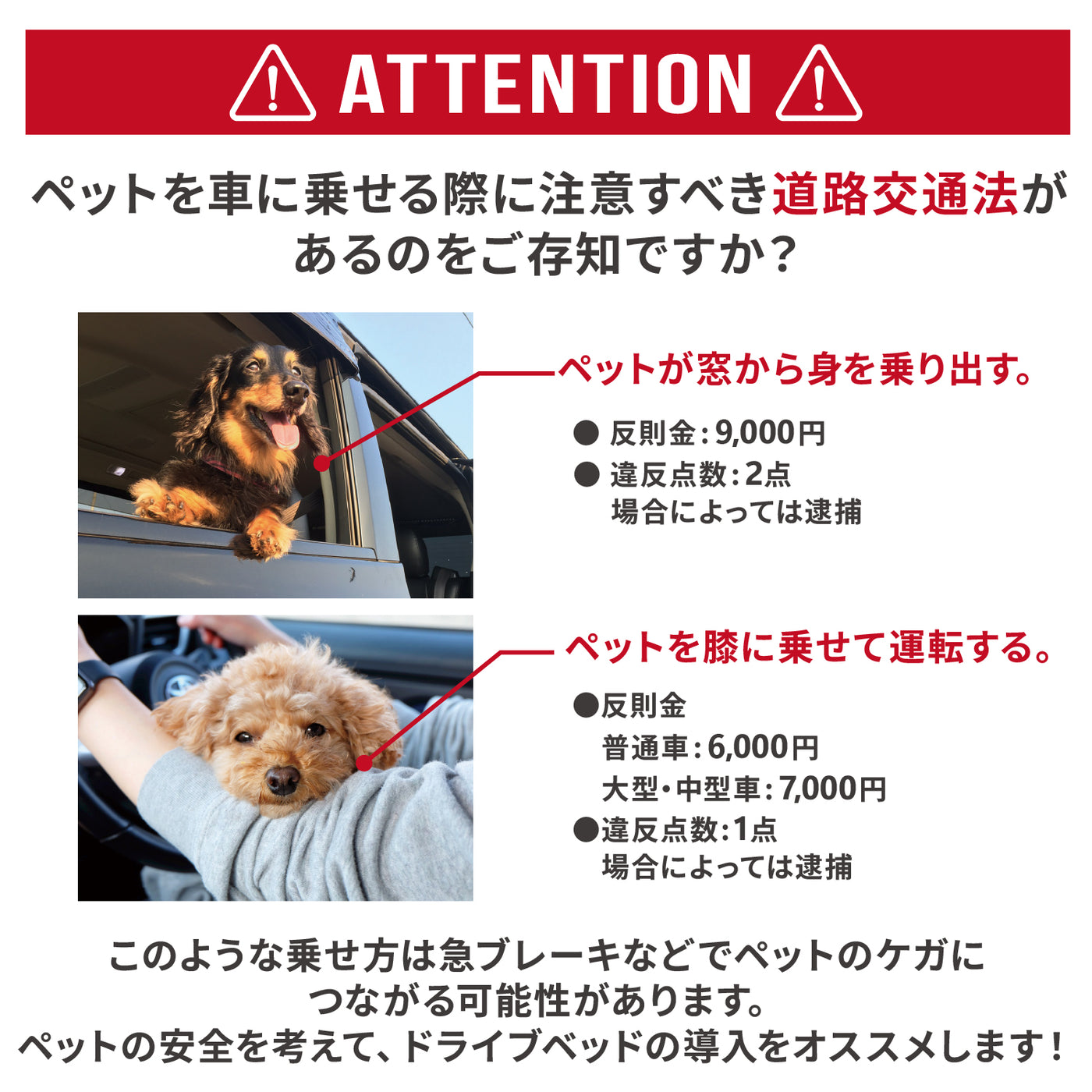 pipiドライブベッド ペット用品 お出掛け 犬服 ペットウェア ペット