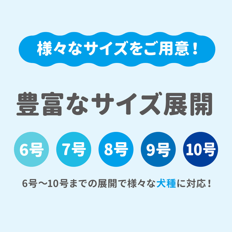pipiお祭り法被　中大型犬 ペット用品
