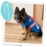 pipiお祭り法被　中大型犬 ペット用品