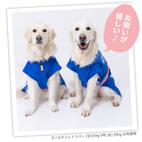 pipiお祭り法被　中大型犬 ペット用品