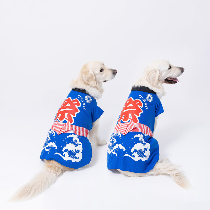 pipiお祭り法被　中大型犬 ペット用品