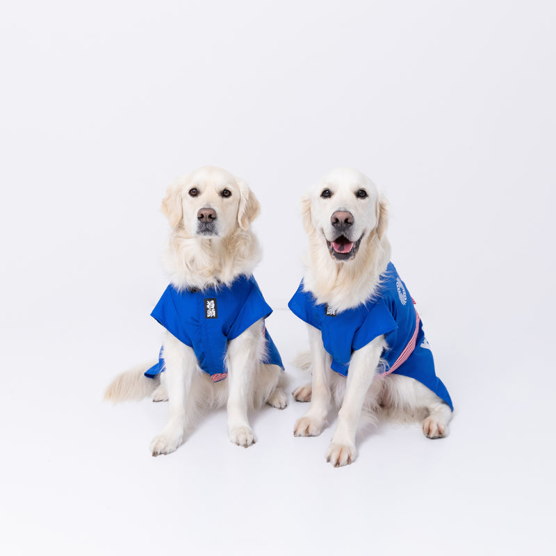 pipiお祭り法被　中大型犬 ペット用品