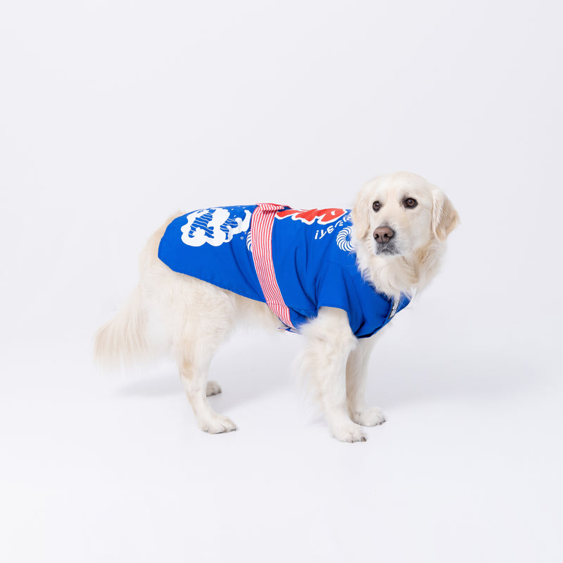 pipiお祭り法被　中大型犬 ペット用品