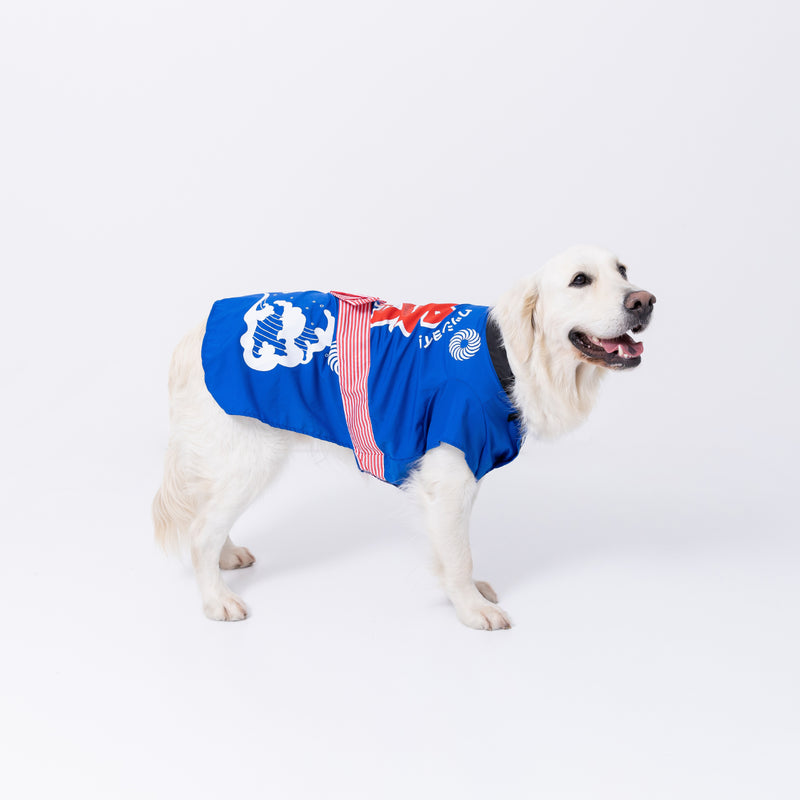 pipiお祭り法被　中大型犬 ペット用品