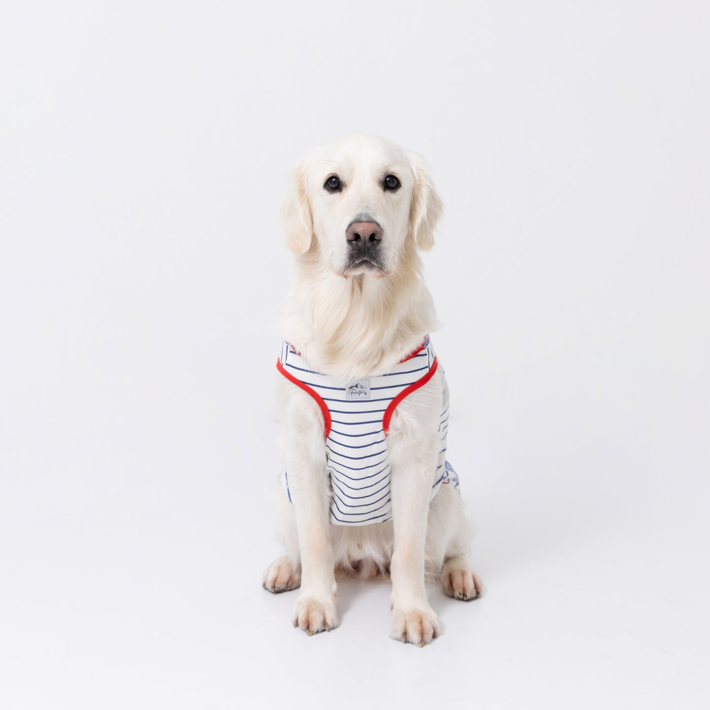 pipiオーバーオール風タンク 中大型犬 ペット用品 犬服 ペット
