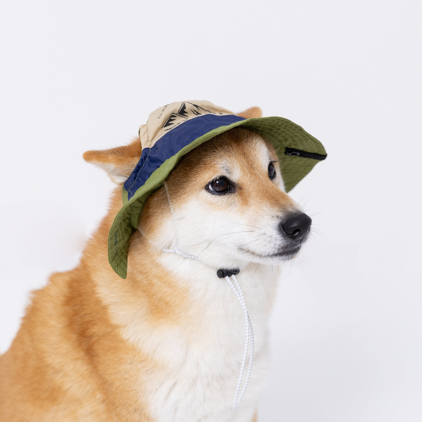 pipiサファリハットS ペット用品 犬服 ペットウェア ペット用品｜MOFF